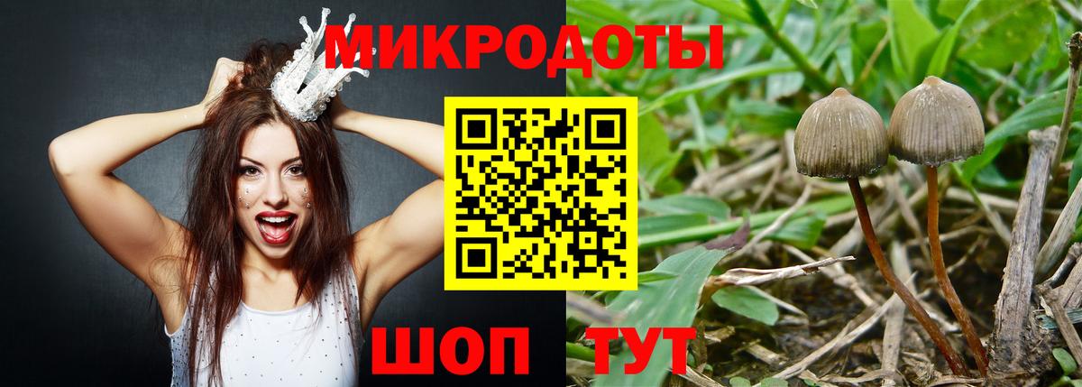 Галлюциногенные грибы прущие грибы  Псилоцибиновые грибы мухоморы  Вход с VPN  Мичуринск 